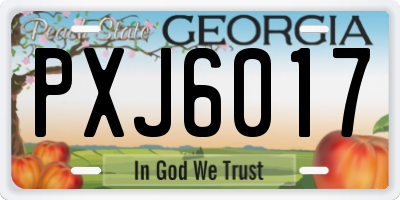 GA license plate PXJ6017