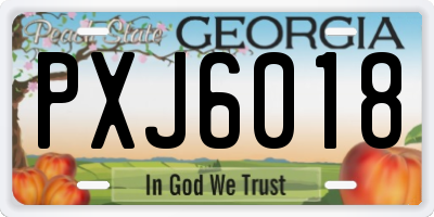GA license plate PXJ6018