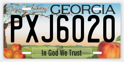 GA license plate PXJ6020