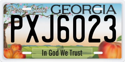 GA license plate PXJ6023