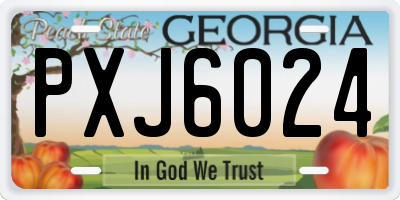 GA license plate PXJ6024