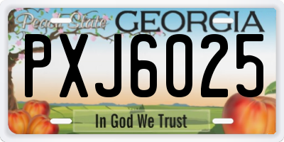 GA license plate PXJ6025