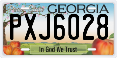 GA license plate PXJ6028