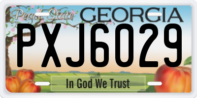 GA license plate PXJ6029