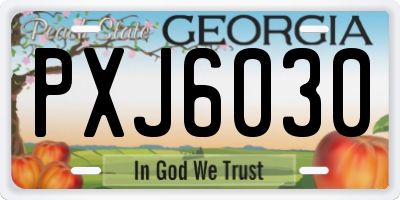 GA license plate PXJ6030