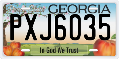GA license plate PXJ6035