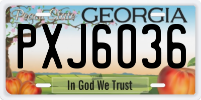 GA license plate PXJ6036