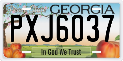 GA license plate PXJ6037