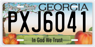 GA license plate PXJ6041