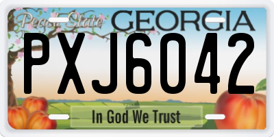 GA license plate PXJ6042