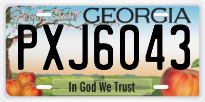 GA license plate PXJ6043