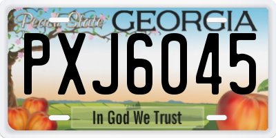 GA license plate PXJ6045