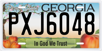 GA license plate PXJ6048
