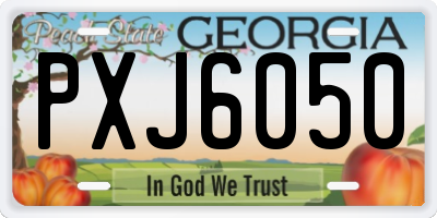 GA license plate PXJ6050