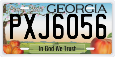 GA license plate PXJ6056