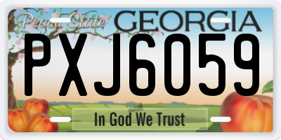 GA license plate PXJ6059