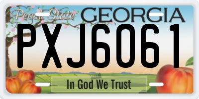 GA license plate PXJ6061