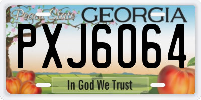 GA license plate PXJ6064