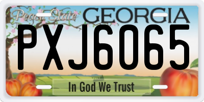 GA license plate PXJ6065