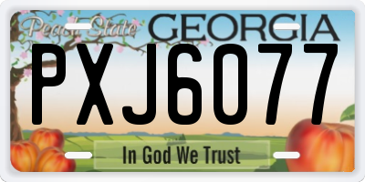 GA license plate PXJ6077