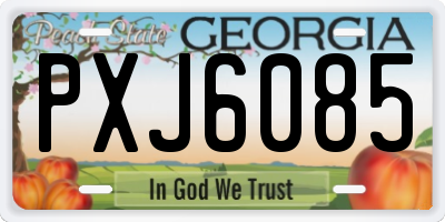 GA license plate PXJ6085