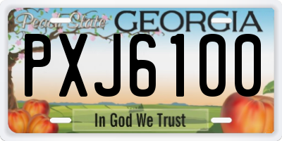GA license plate PXJ6100