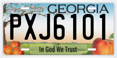GA license plate PXJ6101