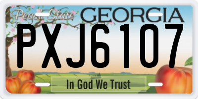 GA license plate PXJ6107