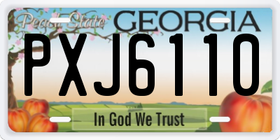 GA license plate PXJ6110