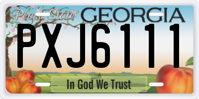 GA license plate PXJ6111