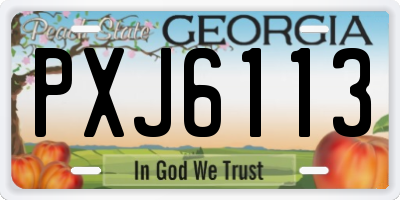 GA license plate PXJ6113