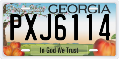 GA license plate PXJ6114