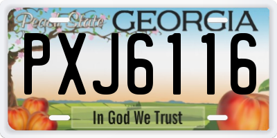 GA license plate PXJ6116