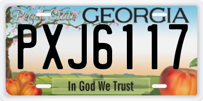 GA license plate PXJ6117