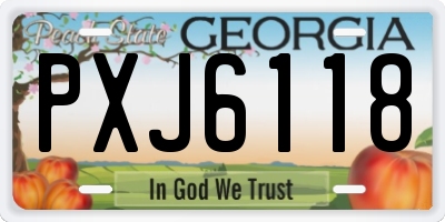 GA license plate PXJ6118