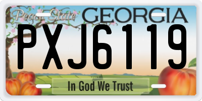 GA license plate PXJ6119