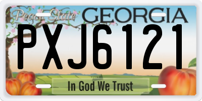 GA license plate PXJ6121
