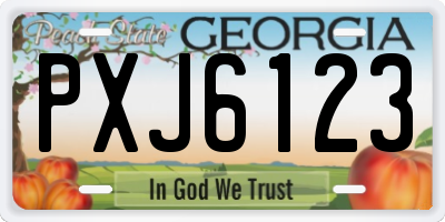 GA license plate PXJ6123