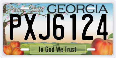GA license plate PXJ6124
