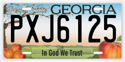 GA license plate PXJ6125