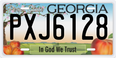 GA license plate PXJ6128