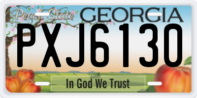 GA license plate PXJ6130