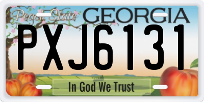 GA license plate PXJ6131