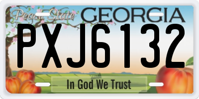 GA license plate PXJ6132