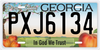 GA license plate PXJ6134