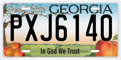 GA license plate PXJ6140