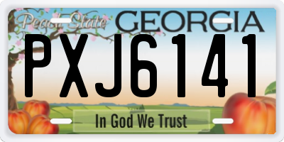 GA license plate PXJ6141