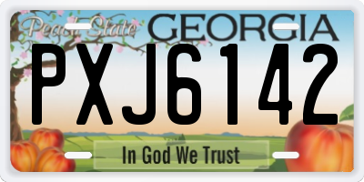 GA license plate PXJ6142