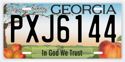 GA license plate PXJ6144