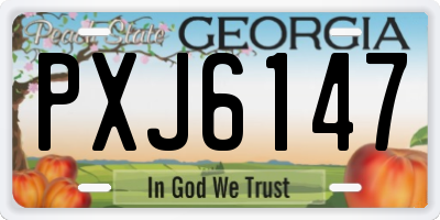 GA license plate PXJ6147